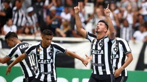 博塔弗戈与山谷独立，巴甲联赛的激情碰撞