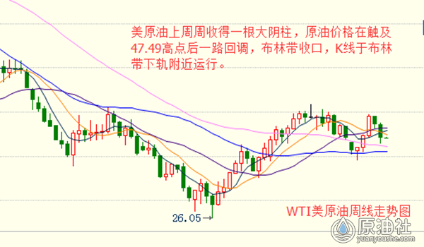 普特拉锡纳与帕森卡特加，两大品牌的对决与市场格局的演变