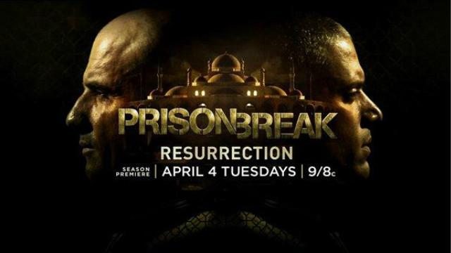 史卡拉与巴尔灿，音乐与光影的交响曲