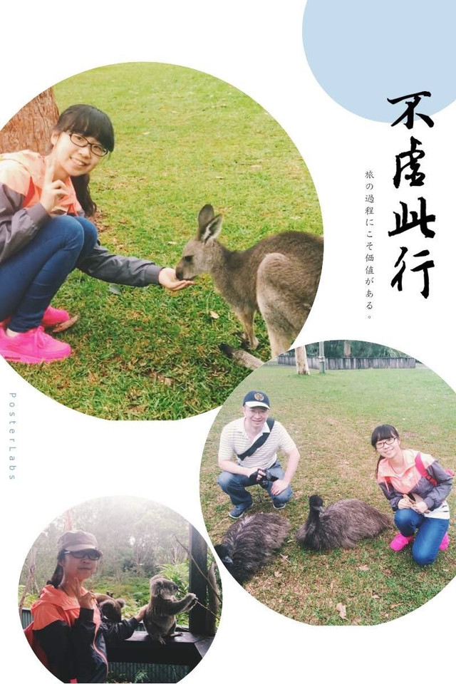 开普敦城与饿狮,自然与野性的交响曲 开普敦城与饿狮,自然与野性的交响曲