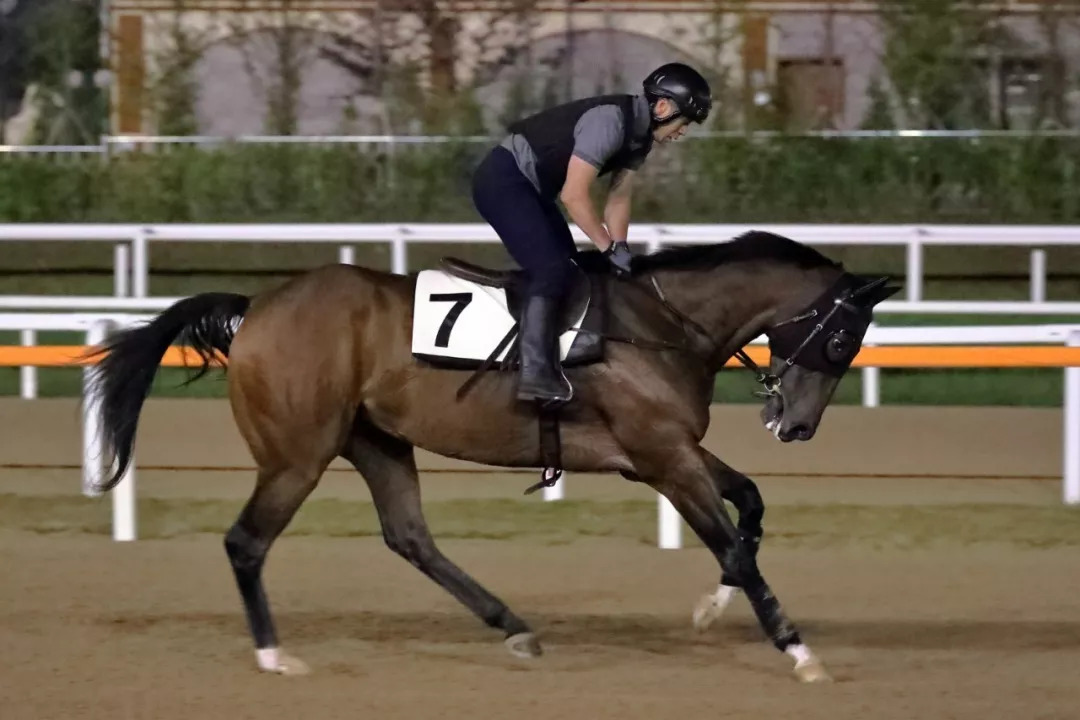 埃塞俄比亚文与[9]VS谢格尔凯特马[11]，文化碰撞与语言交融的独特篇章