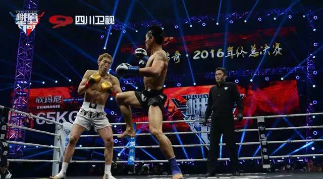 阿比拉舍哈与加里安，两位传奇拳手的对决与影响