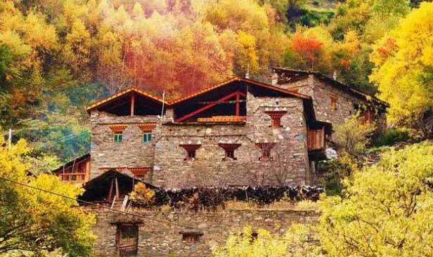 帕兰德森[秋10] vs 格尼斯[秋8]，一场关于秋日风情的较量