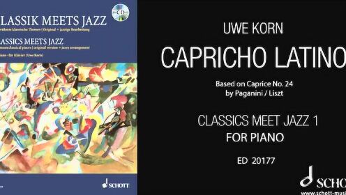 库恩卡青年与CD独立青年的对比分析