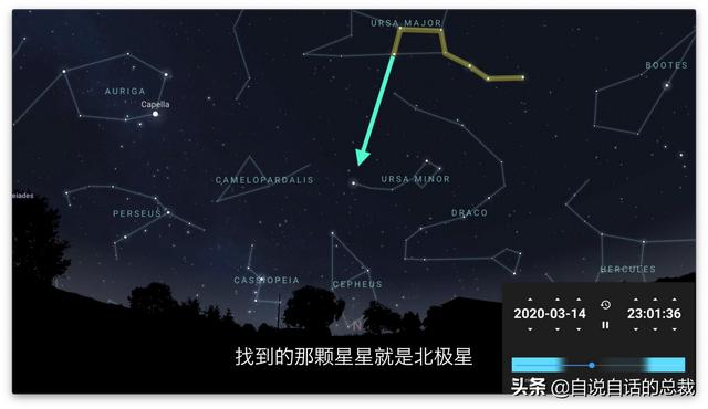 北极星与荷兰公园老鹰，自然界的指引与守护者