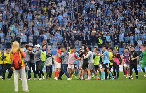 哈雷斯彻与艾尔格里尼克的较量，足球场上的激情碰撞