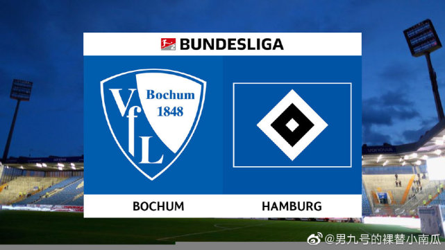 波鸿vs布伦瑞克