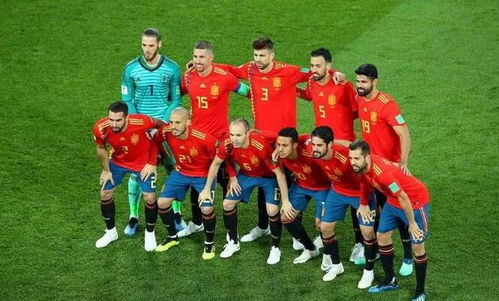 足球场上的传奇，5号球衣的荣耀传承