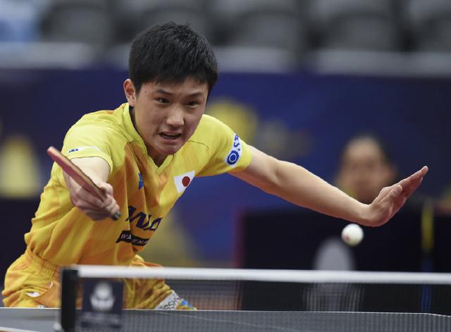 2026年世界乒乓球排名最新动态，群雄逐鹿，谁主沉浮？