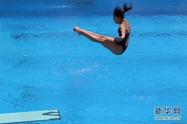 夏日激情，探索夏日跳水大赛的魅力与魅力