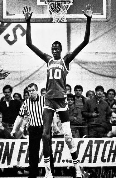 NBA最黑球员，争议与荣耀并存的篮球传奇