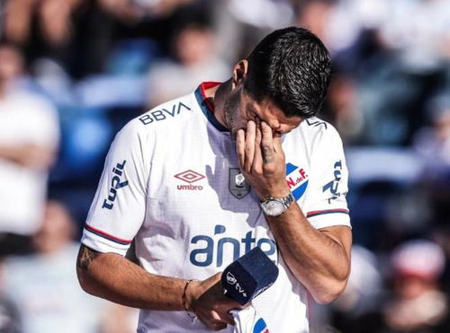 中国队首次闯入世界杯，梦想照进现实的辉煌时刻