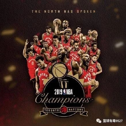 猛龙总冠军,从黑马到荣耀的加冕 猛龙总冠军,从黑马到荣耀的加冕