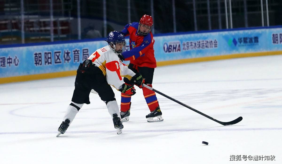 冰球比赛的节奏与中场休息，一场激情与策略的短暂休憩