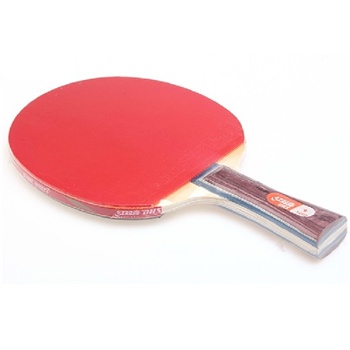 普通乒乓球拍的价格与选择指南