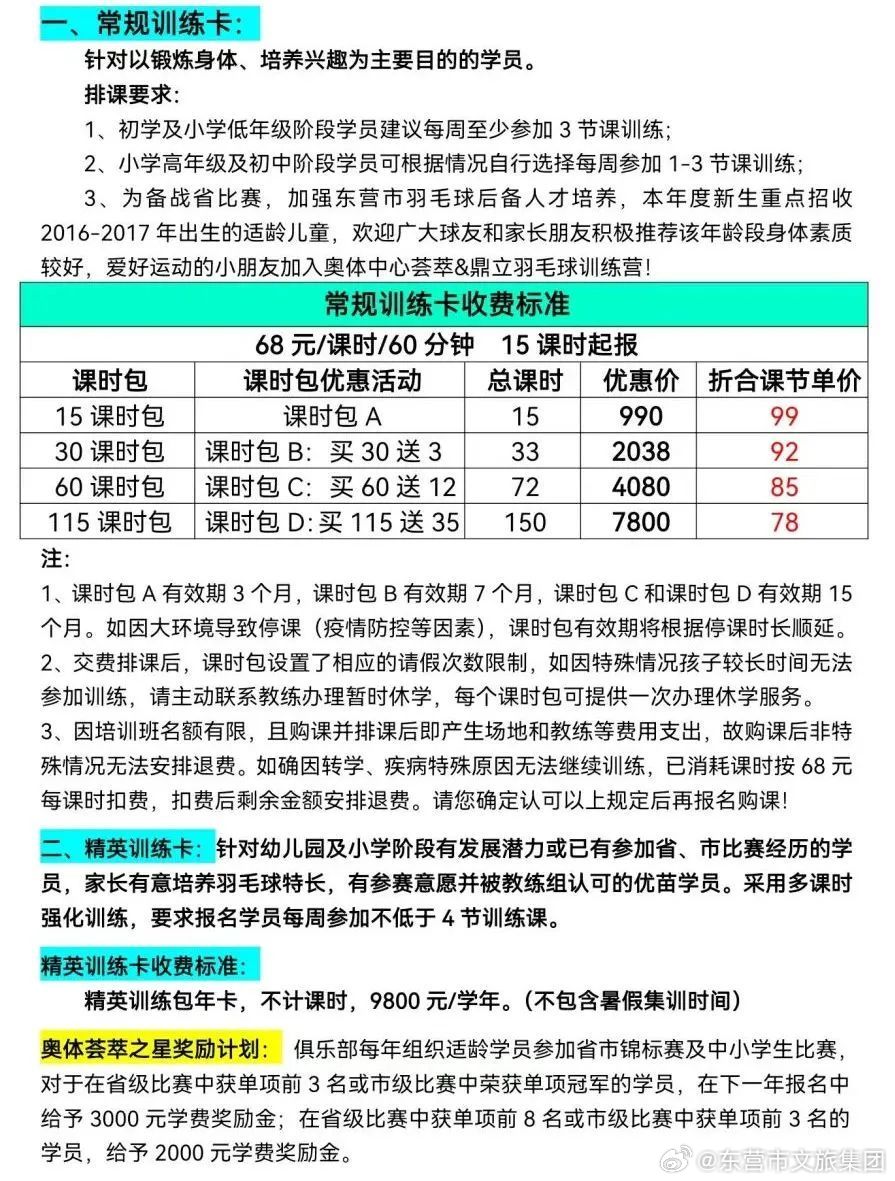 羽毛球培训一年费用解析，从初学到进阶的全面考量