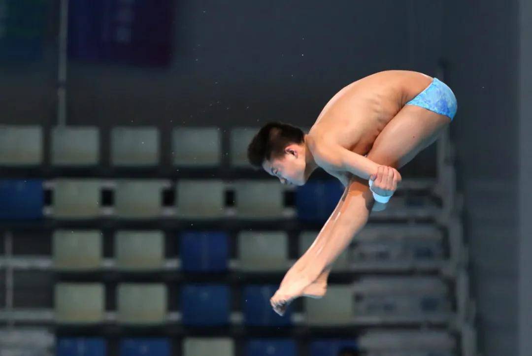 十四届全运会跳水名单，群英荟萃，共赴水之舞的盛宴