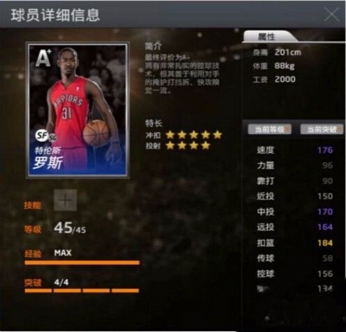 NBA2K王朝，打造无懈可击的阵容搭配策略