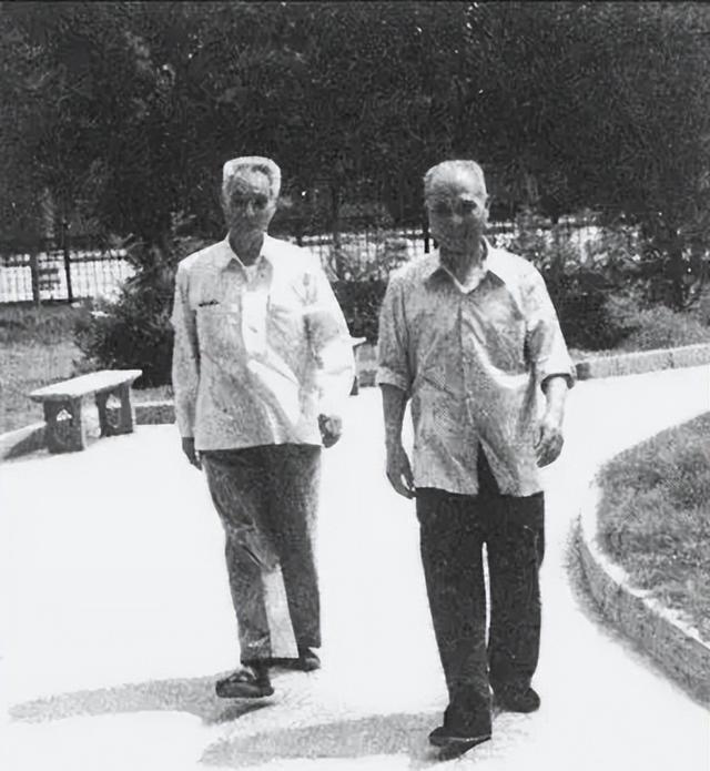 足球预测指数，洞悉胜负的智慧之眼