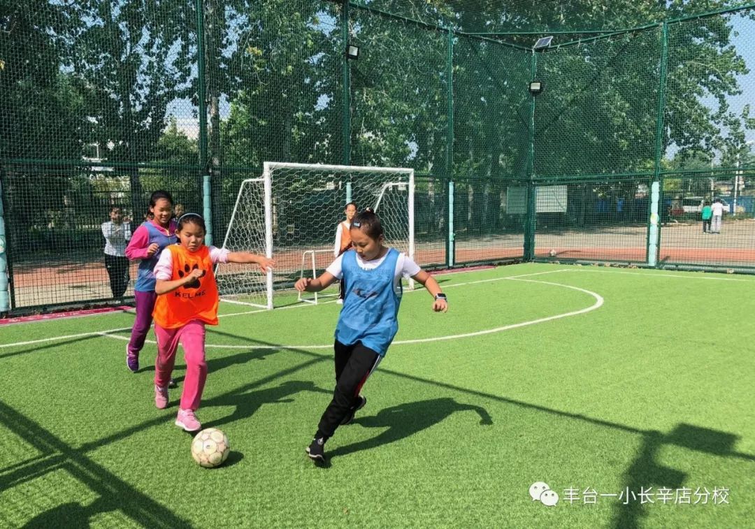 最新足球裁判规则及手势,提升赛场公正与效率的革新 最新足球裁判规则及手势,提升赛场公正与效率的革新