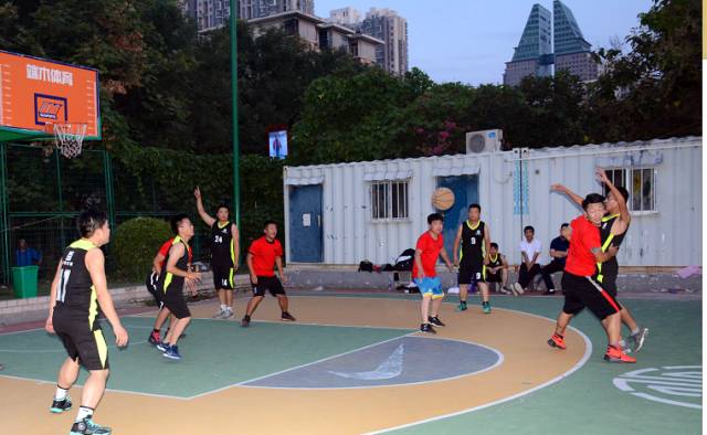 小牛与老鹰，球场上的青春对决与岁月沉淀