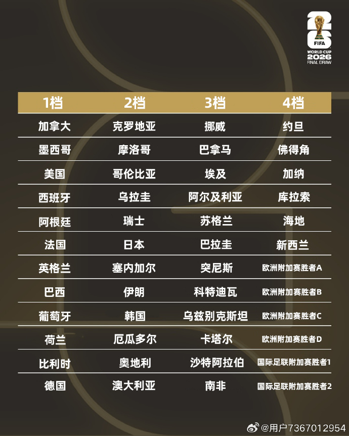 2026年世界杯，展望新一届世界杯的参赛国家及排名榜