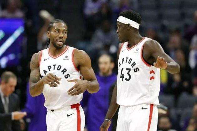 猛龙队,2023年赛季主力球员名单深度解析 猛龙队,2023年赛季主力球员名单深度解析