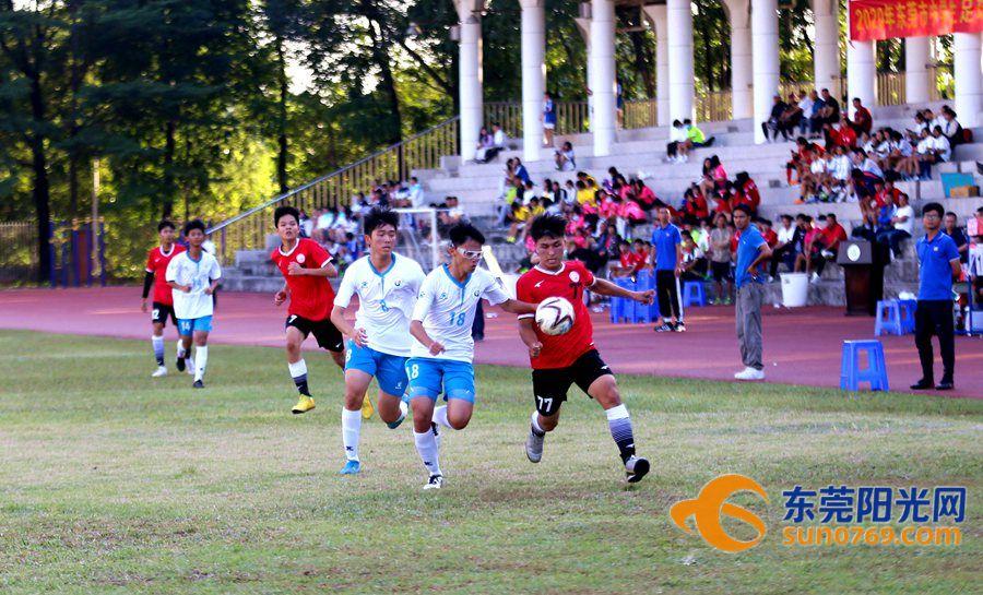 现在的足球赛场，激情与技术的完美碰撞