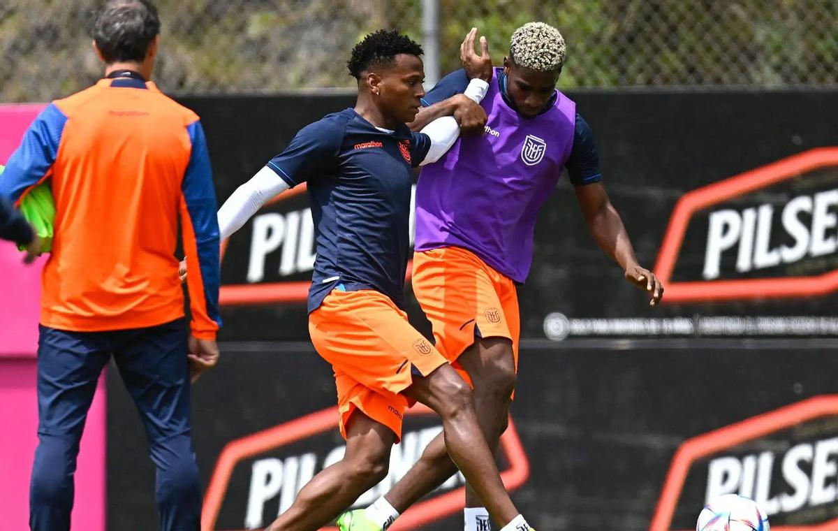 非洲激情,南非足球迷的独特助威文化 非洲激情,南非足球迷的独特助威文化