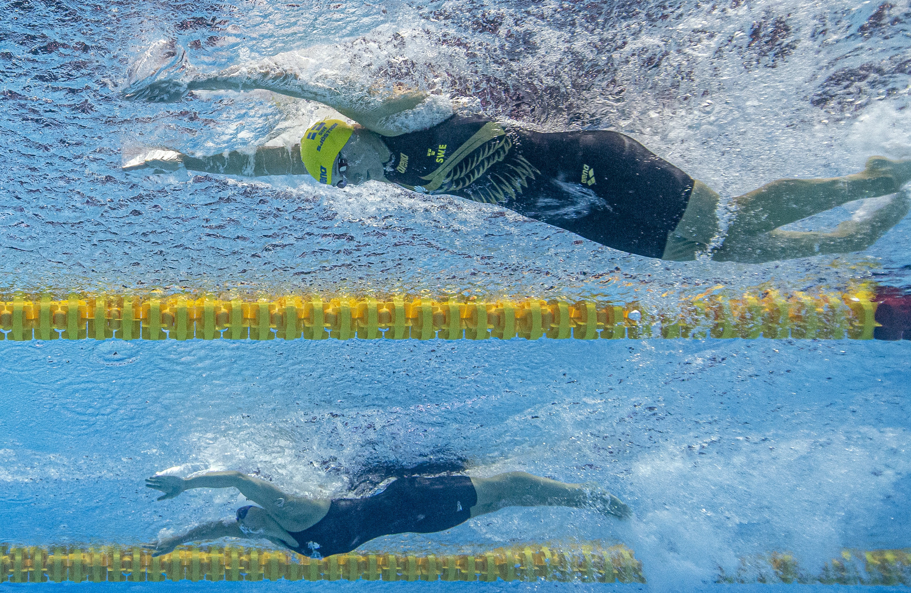 麦克尼尔，100米蝶泳的璀璨之星