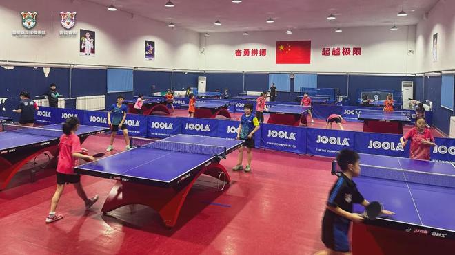 山东鲁能乒乓球俱乐部，荣耀与传承的交响曲