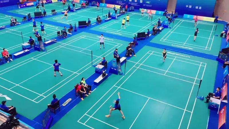 历届奥运会羽毛球女单冠军的辉煌之路