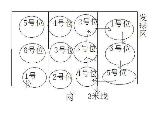 排球轮转换位规则，球场上的智慧与策略