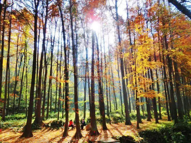 跑马拉松，你需要具备的五大条件