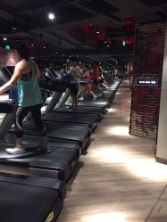 威尔士健身房月卡，您的健身之旅新选择