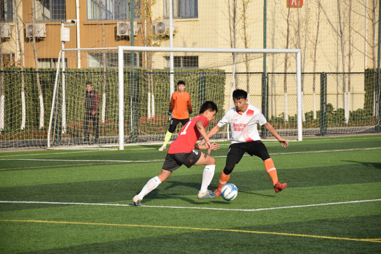 2019年鲁能泰山足球比赛赛程，激情与荣耀的年度回顾