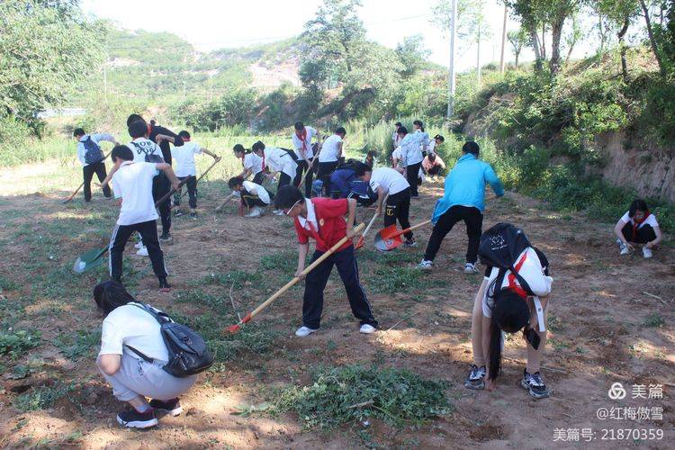 孩子学跳水，必备条件与成长之路