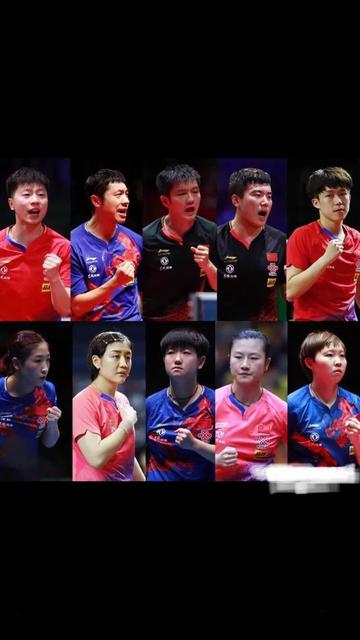 揭秘国乒奥运名单产生过程，汗水与智慧的双重较量