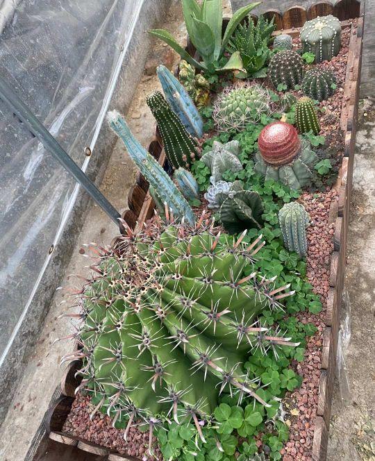 LPL春季赛之后，揭秘夏季赛与季中冠军赛的精彩前瞻