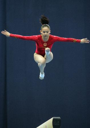 全能之姿，体操界的璀璨明珠——张楠的非凡之旅