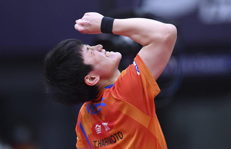 中国乒乓球队，最新世界排名与辉煌背后的汗水