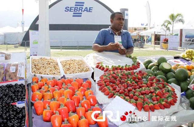 巴西第31届奥运会，里约热内卢的激情盛宴