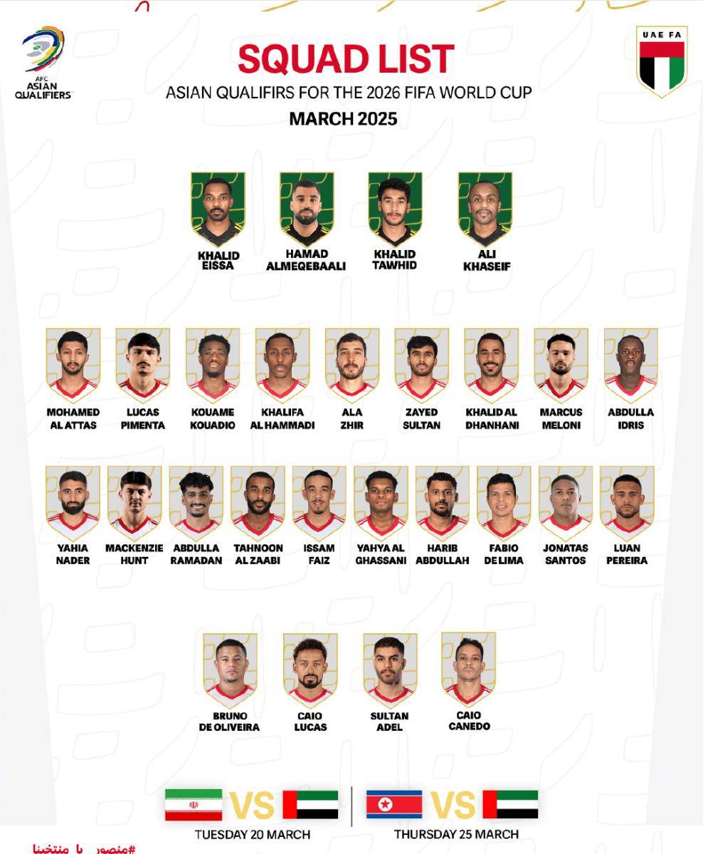 足球归化球员名单，全球化浪潮下的新篇章