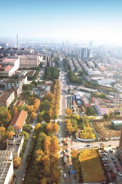 建造一个足球场，成本、规划与挑战