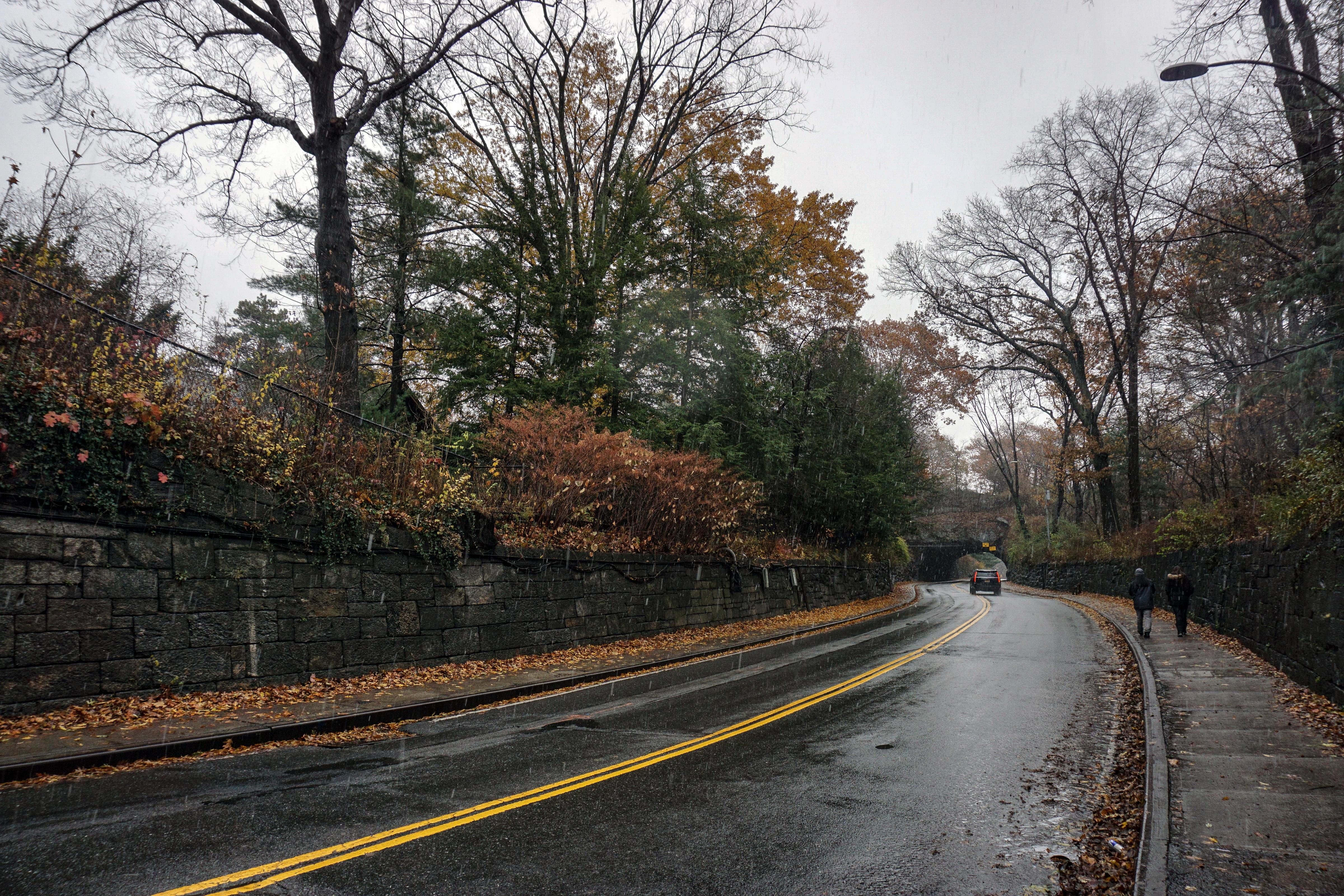 纽约的篮球热土，双城记——探秘纽约的篮球队伍