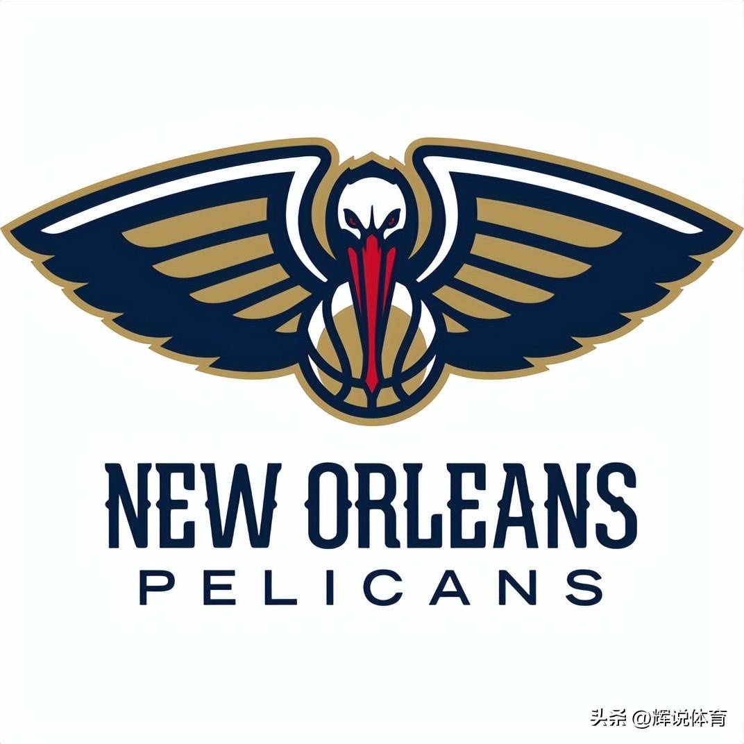 鹈鹕队名字的由来，飞翔的传奇与文化寓意