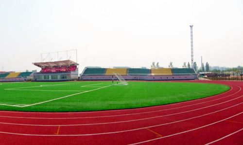 世界杯足球场草坪的绿色价值，一平米背后的秘密