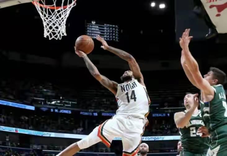 鹈鹕VS雄鹿，一场自然界的实力较量