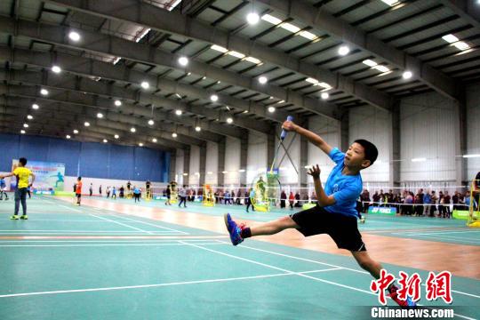 羽毛球，全球瞩目的主要赛事概览