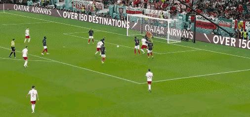 世界杯法国队，荣耀与排名的交织篇章